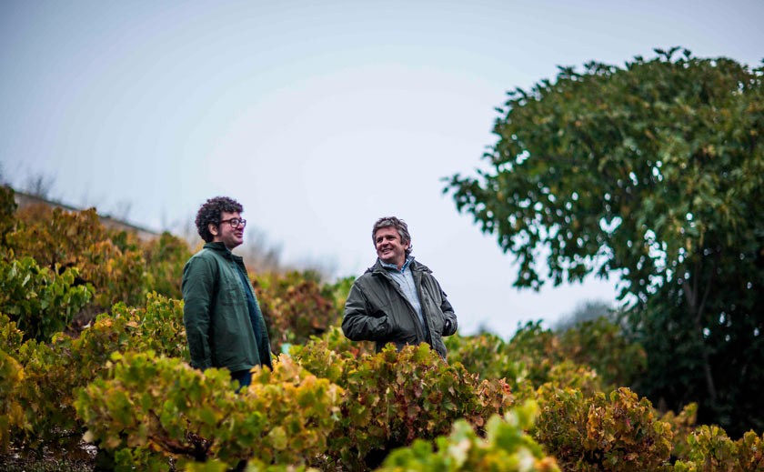 Bodegas Descendientes de J.Palacios
